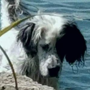 Meet your Posher, Sue